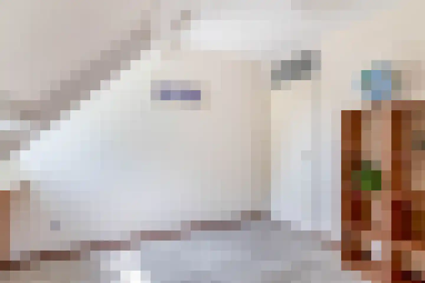 Haver 21 Eersel thumbnail 29