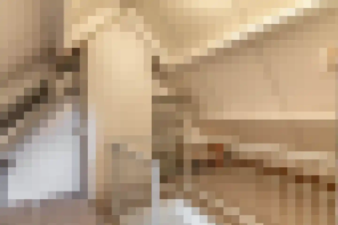 Haver 21 Eersel thumbnail 35