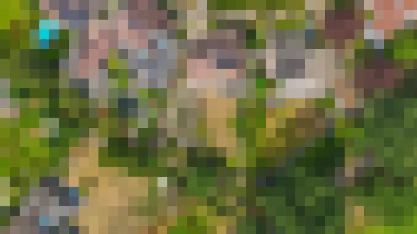Haver 21 Eersel thumbnail 51