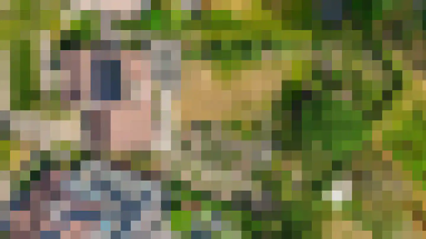 Haver 21 Eersel thumbnail 52