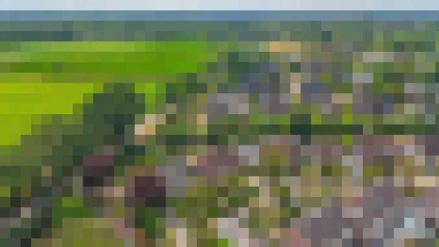 Haver 21 Eersel thumbnail 53