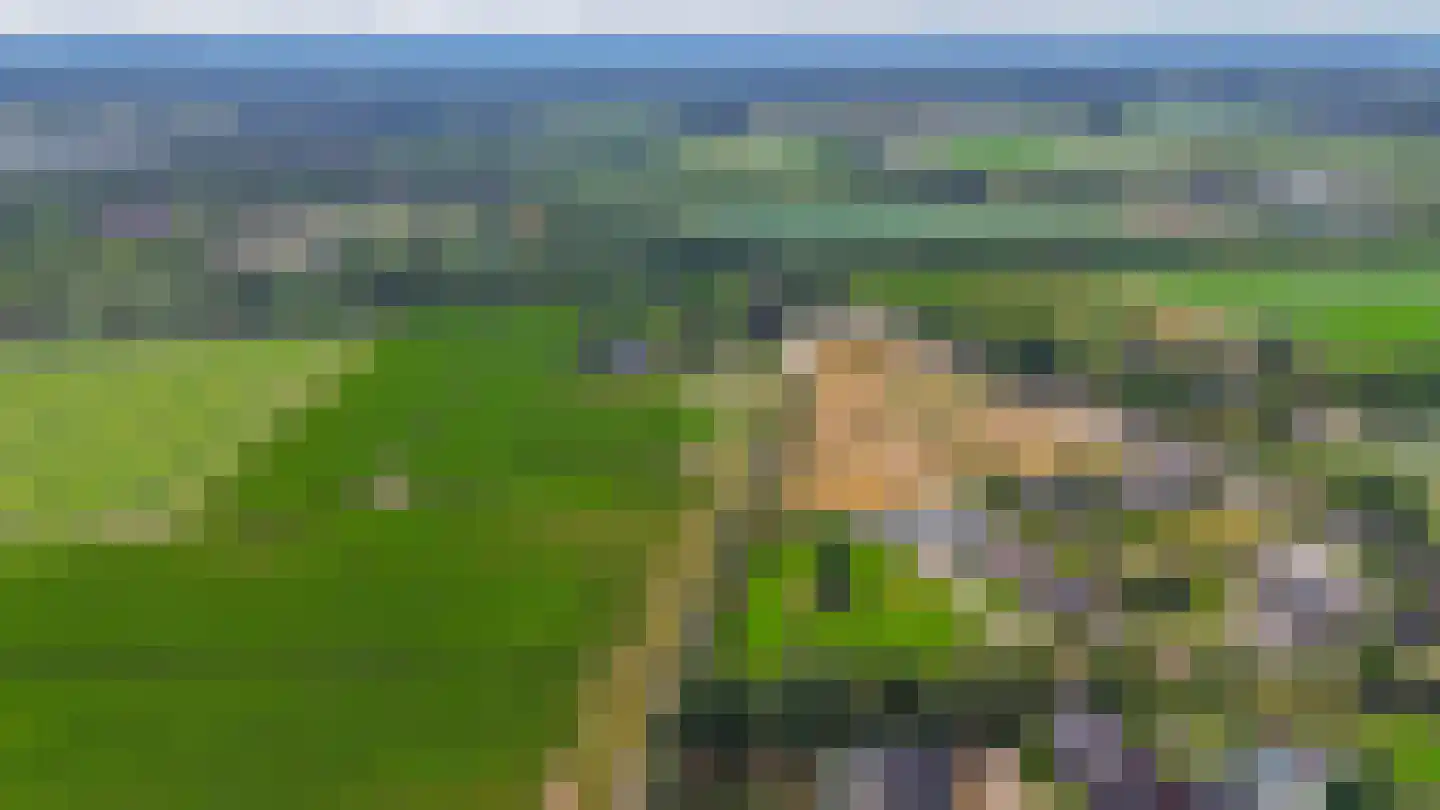 Haver 21 Eersel thumbnail 55