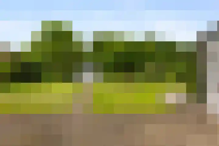 Haver 22 Malden thumbnail 15