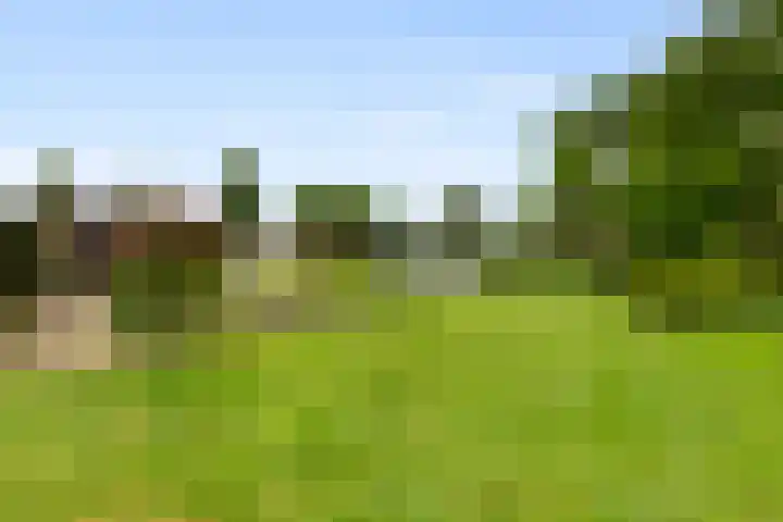 Haver 22 Malden thumbnail 20