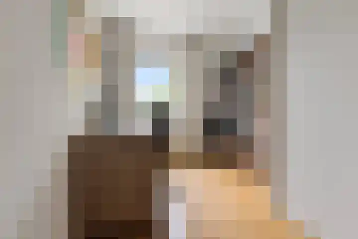 Haver 22 Malden thumbnail 29
