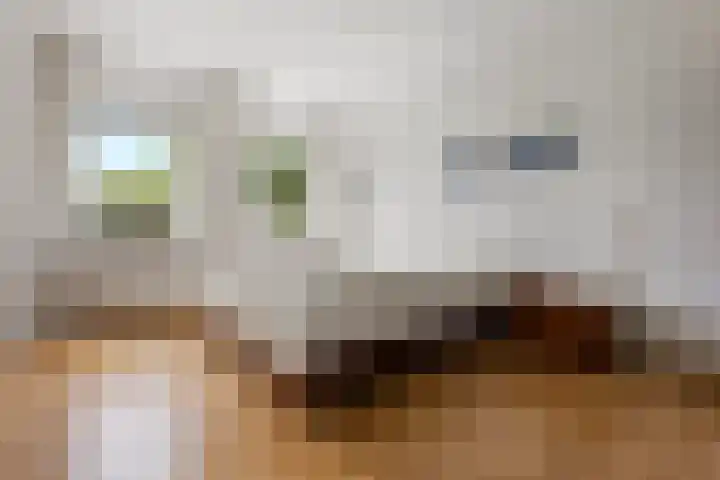Haver 22 Malden thumbnail 31