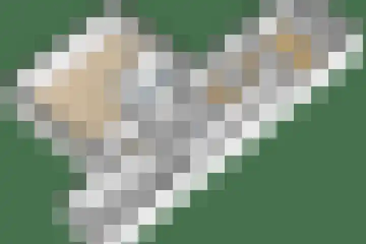 Haver 22 Malden thumbnail 34