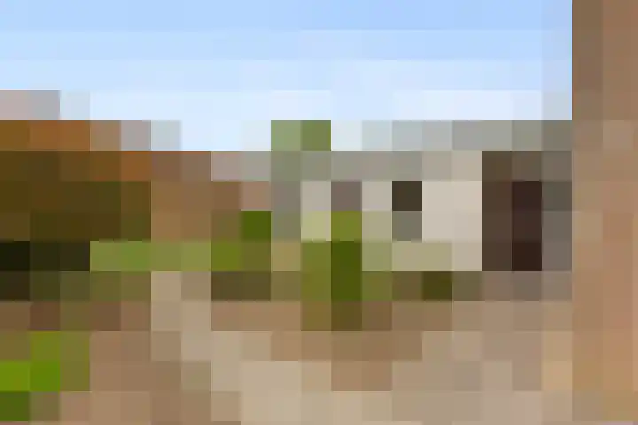 Haver 22 Malden thumbnail 4