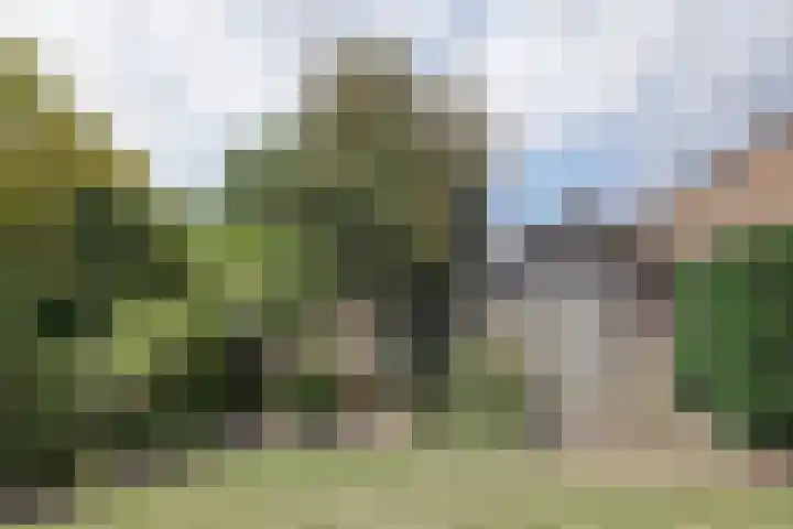 Haver 30 Malden thumbnail 42
