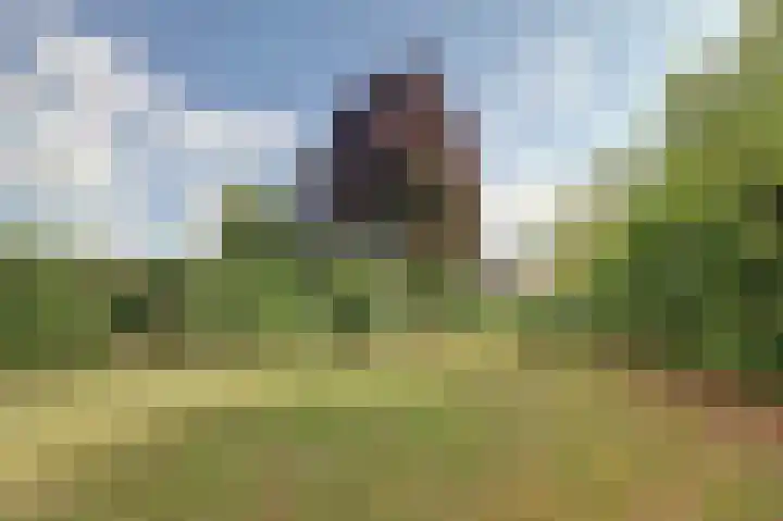 Haver 30 Malden thumbnail 46