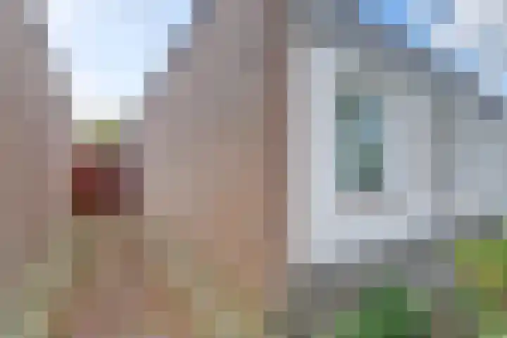 Haver 30 Malden thumbnail 49