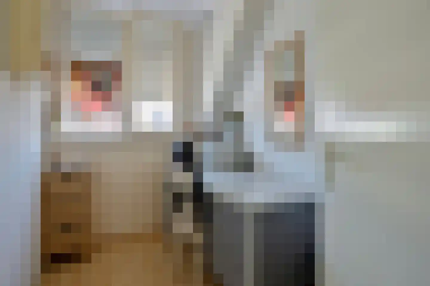 Haver 31 Malden thumbnail 14