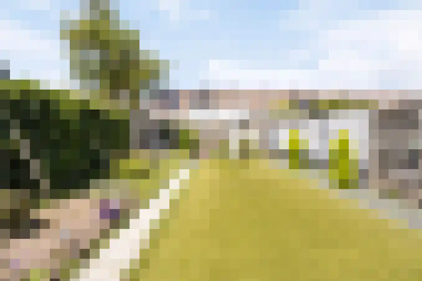 Haver 31 Malden thumbnail 20