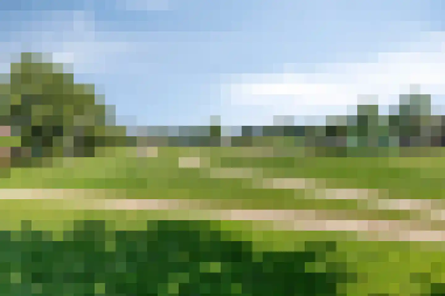 Haver 4 Boekel thumbnail 37