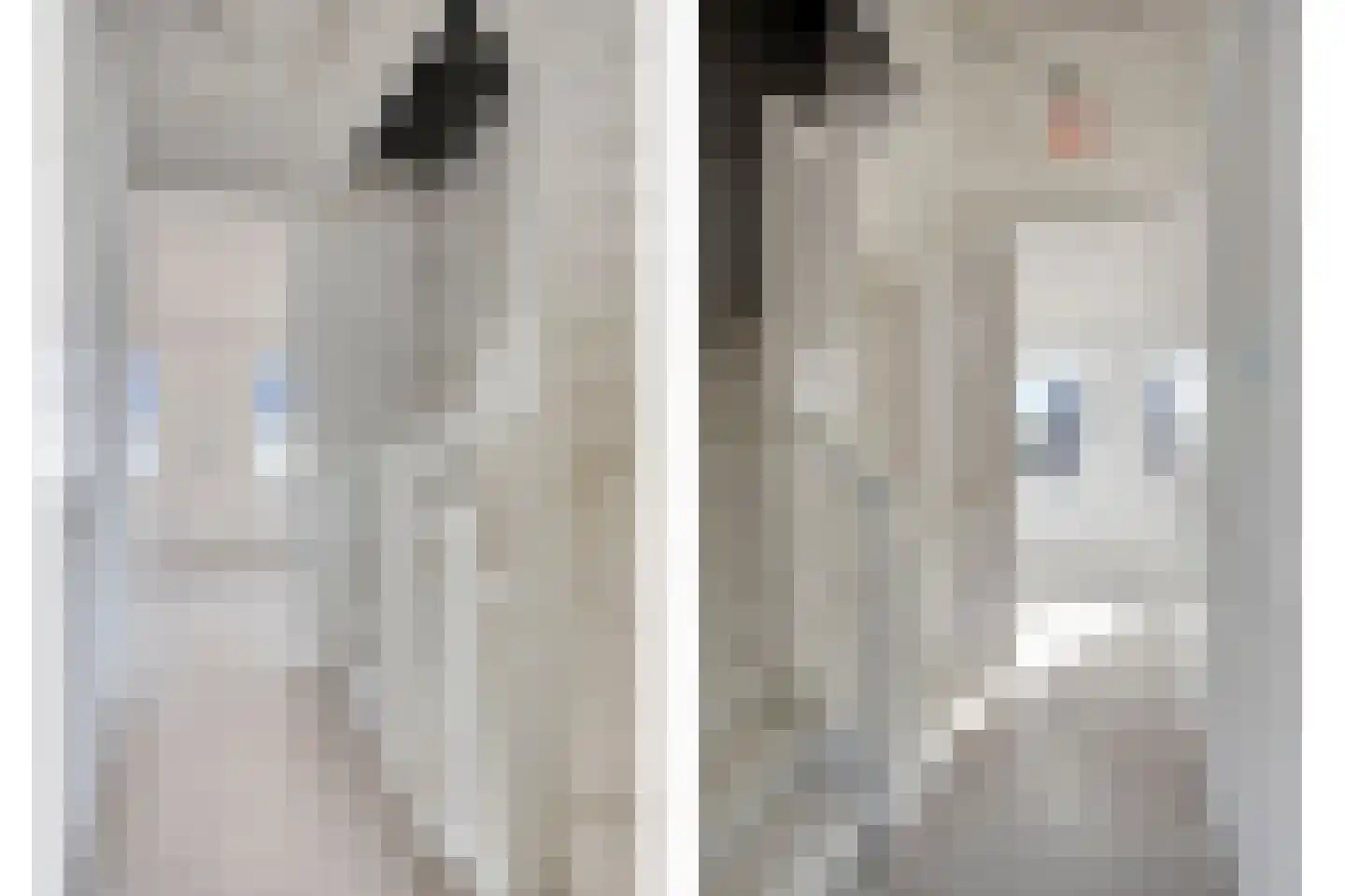Haver 5 Boekel thumbnail 17