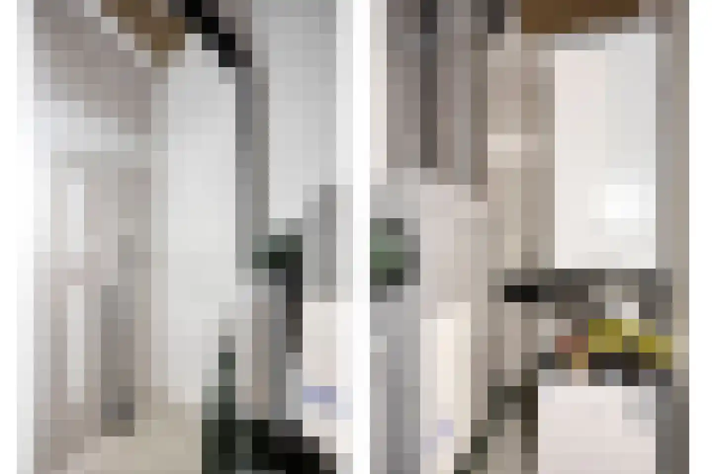 Haver 5 Boekel thumbnail 21