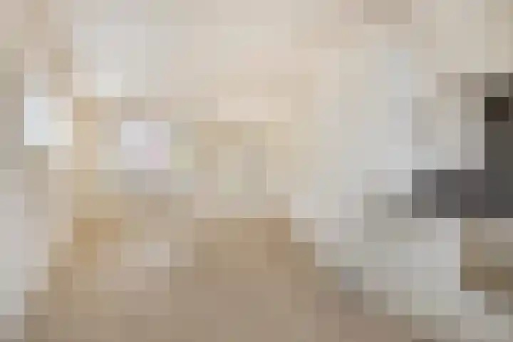 Haver 56 Leveroy thumbnail 13