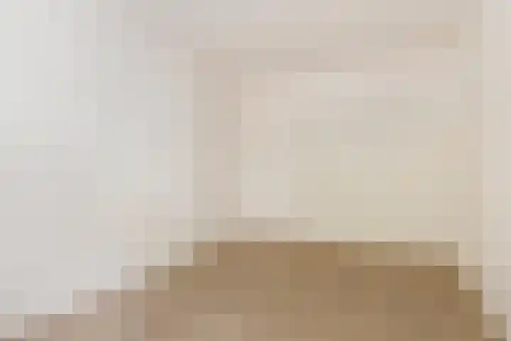 Haver 56 Leveroy thumbnail 19