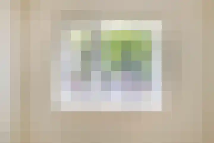 Haver 56 Leveroy thumbnail 20