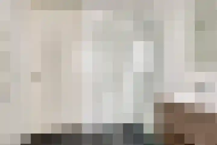 Haver 56 Leveroy thumbnail 22