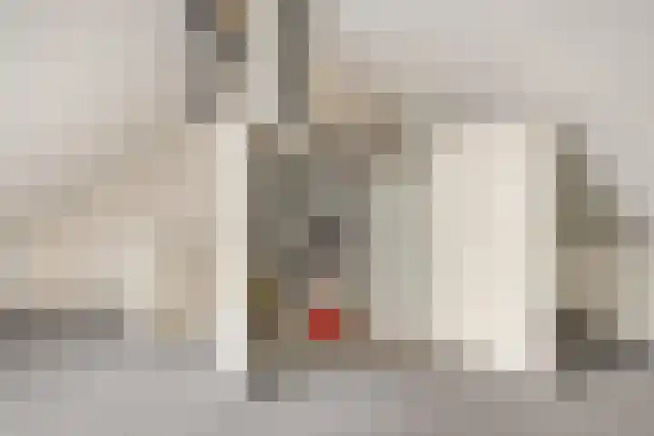 Haver 56 Leveroy thumbnail 32