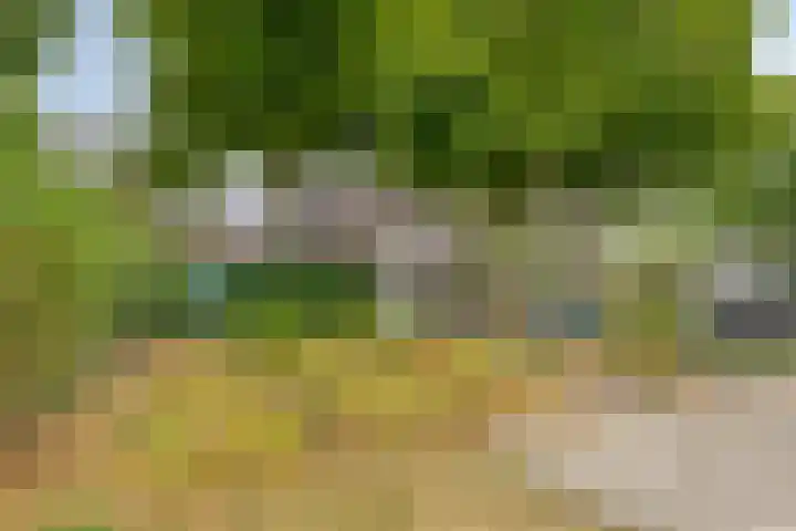 Haver 56 Leveroy thumbnail 34