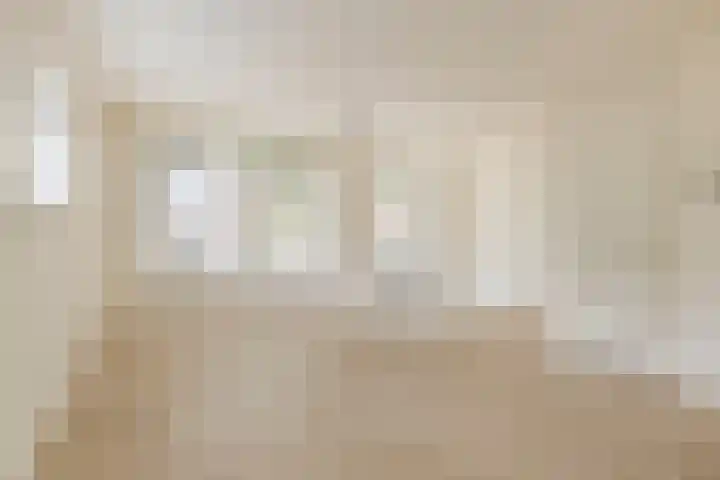 Haver 56 Leveroy thumbnail 9