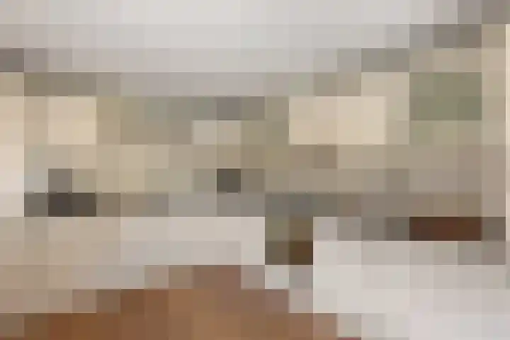 Haver 6 Borne thumbnail 13