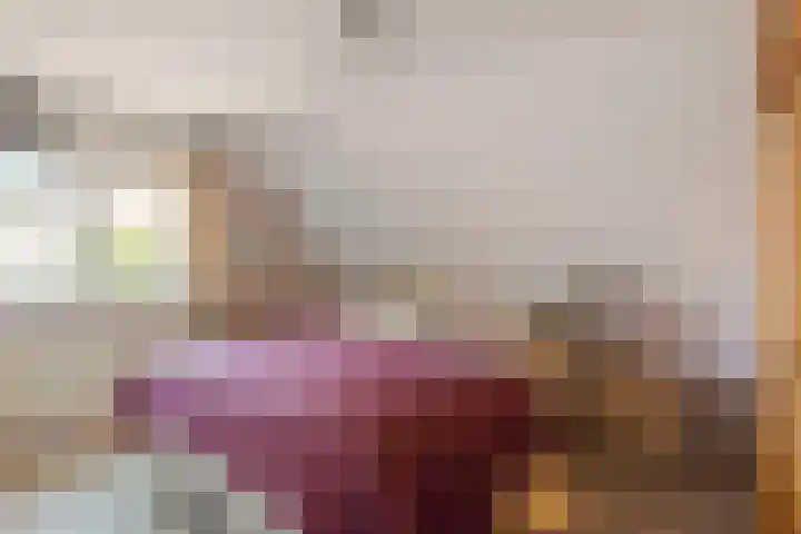 Haver 6 Borne thumbnail 16