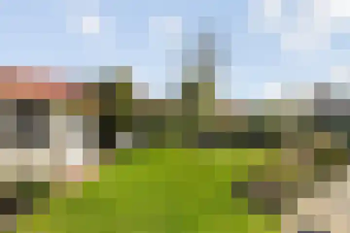 Haver 6 Borne thumbnail 23