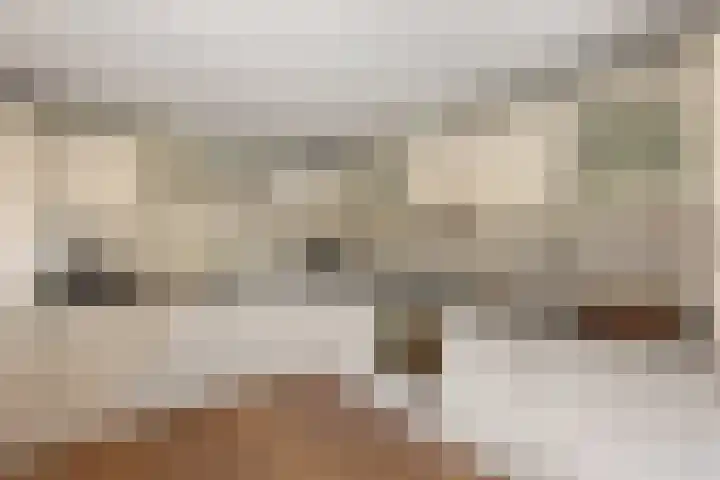 Haver 6 Borne thumbnail 4
