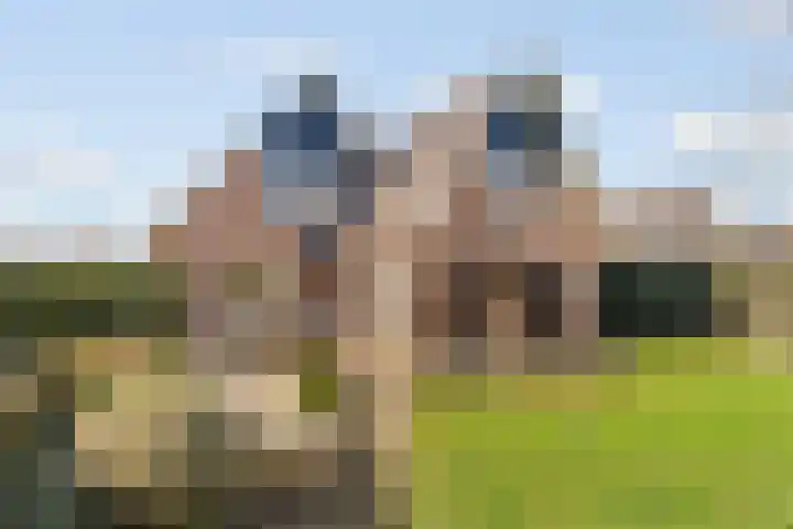 Haver 6 Borne thumbnail 5