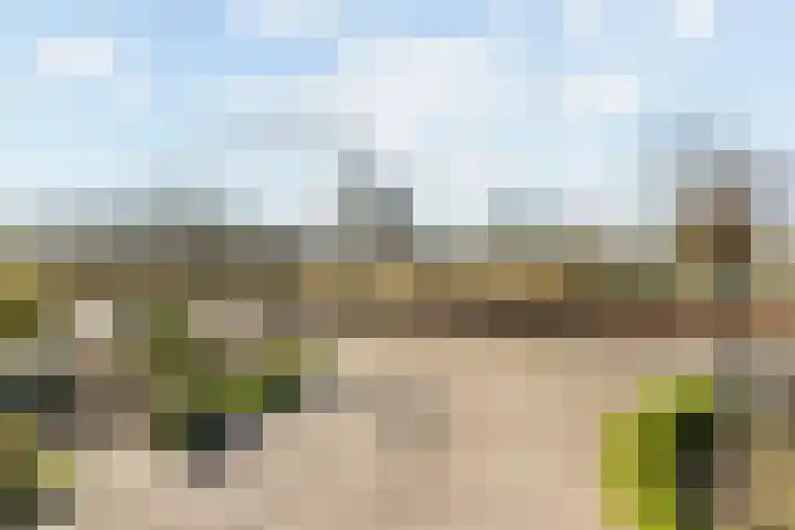 Haver 6 Borne thumbnail 7