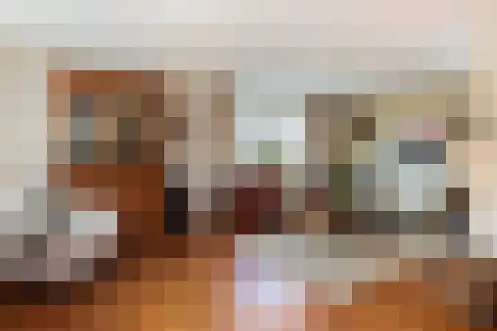 Haver 6 Borne thumbnail 8
