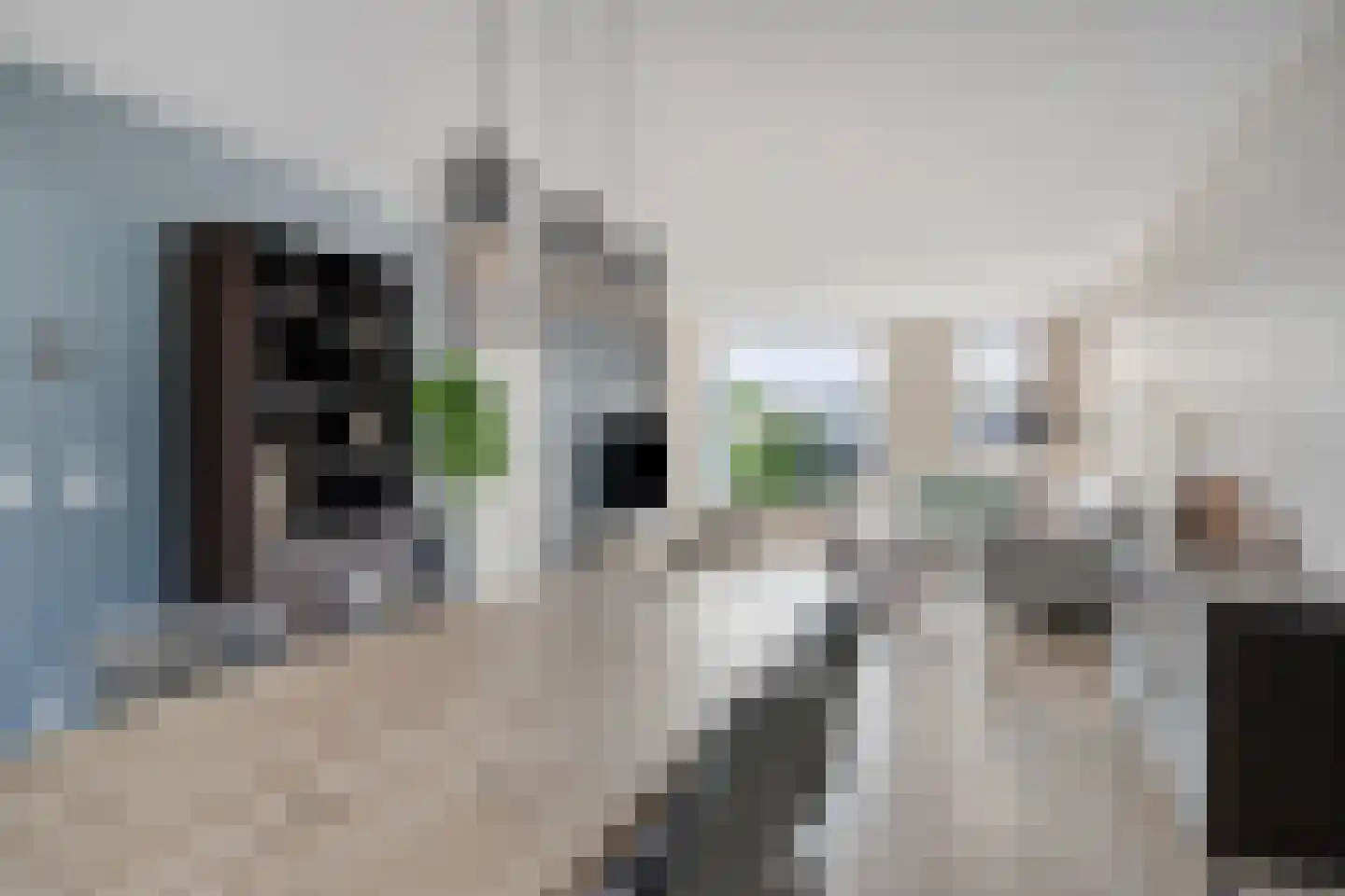 Haver 8 Mierlo thumbnail 12