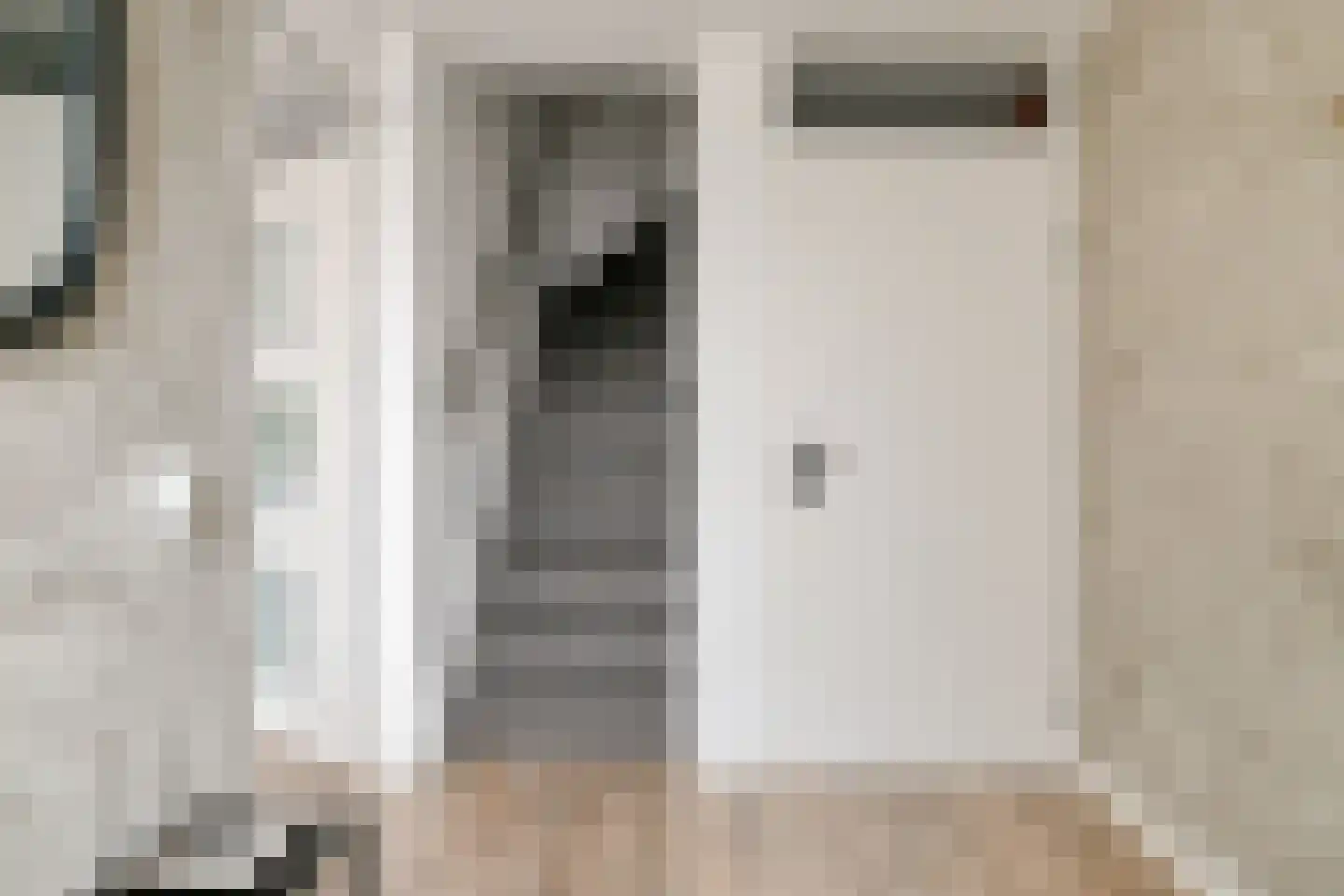 Haver 8 Mierlo thumbnail 5