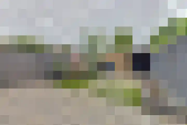 Haver-oord 19 Houten thumbnail 27