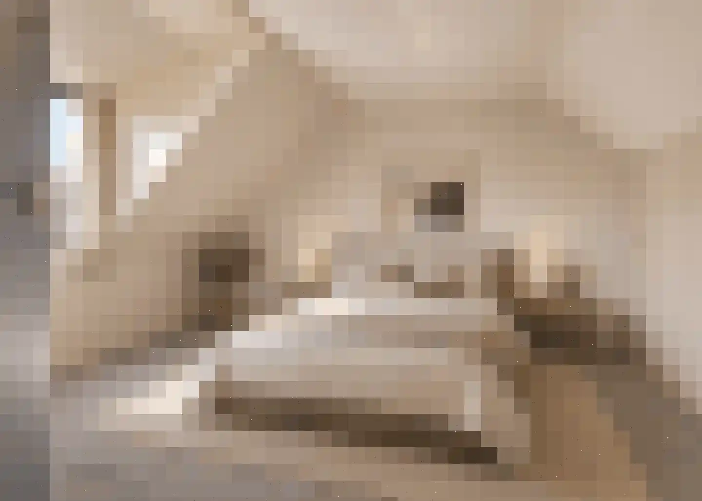 Haver-oord 2 Houten thumbnail 21