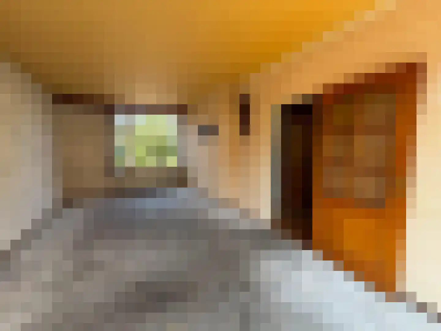Haver-oord 2 Houten thumbnail 6