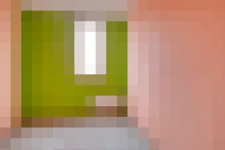 Haverakker 10 Schiedam thumbnail 11