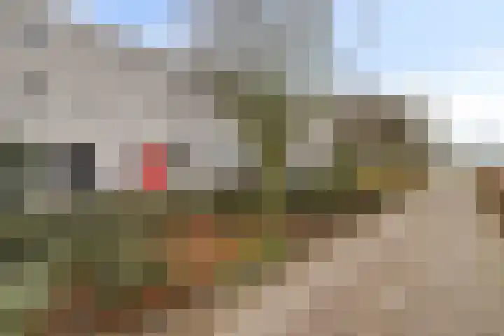 Haverakker 10 Schiedam thumbnail 15