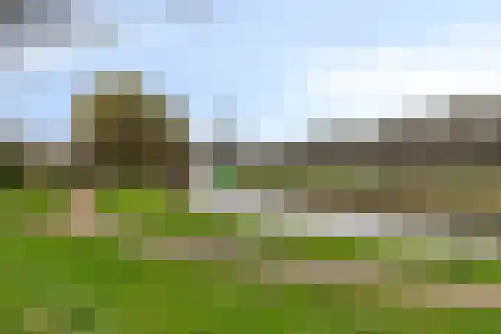 Haverakker 10 Schiedam thumbnail 17