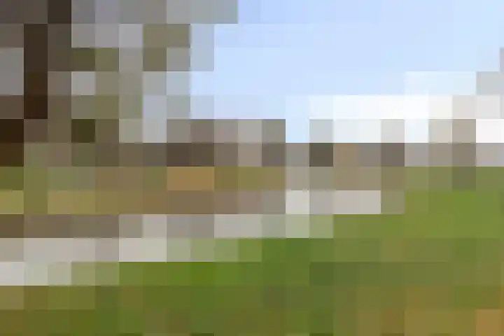 Haverakker 10 Schiedam thumbnail 19
