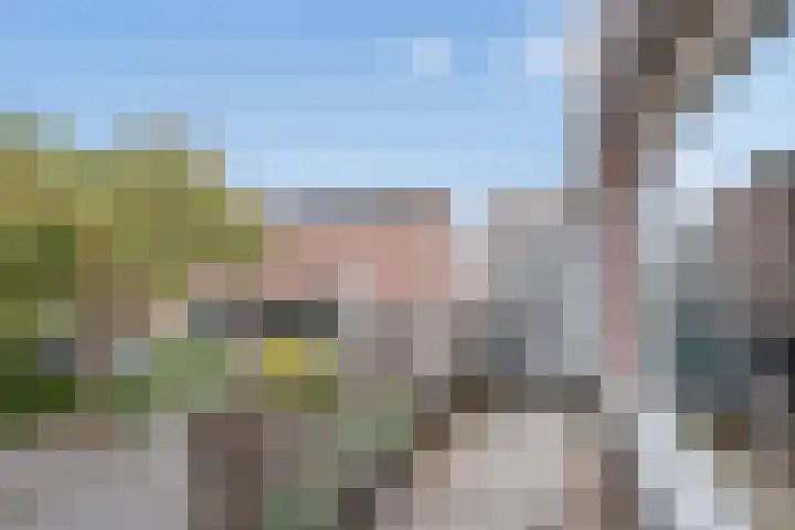 Haverakker 29 Zoetermeer thumbnail 17