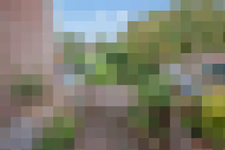 Haverakker 29 Zoetermeer thumbnail 19