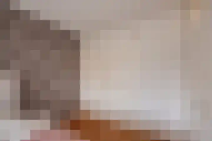 Haverakker 29 Zoetermeer thumbnail 32
