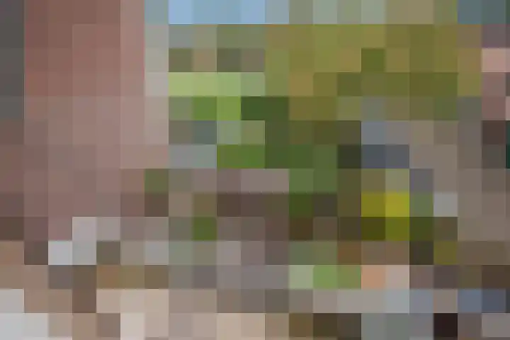 Haverakker 29 Zoetermeer thumbnail 33