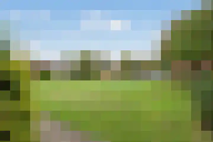 Haverakker 29 Zoetermeer thumbnail 39