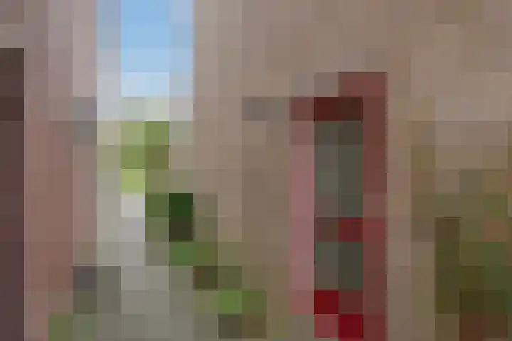 Haverakker 29 Zoetermeer thumbnail 6