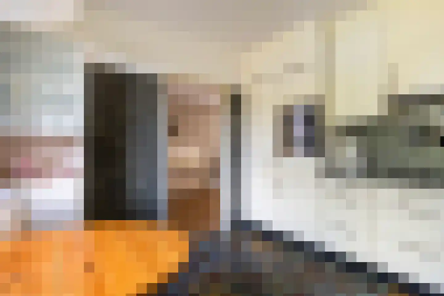 Haverakker 3 Doorn thumbnail 13
